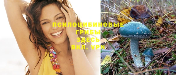 твердый Нягань