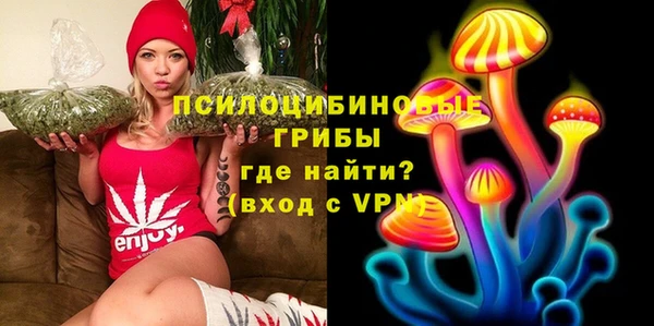 твердый Нягань