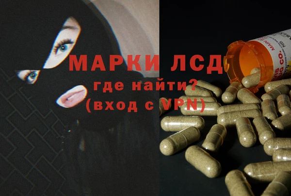 дживик Новодвинск