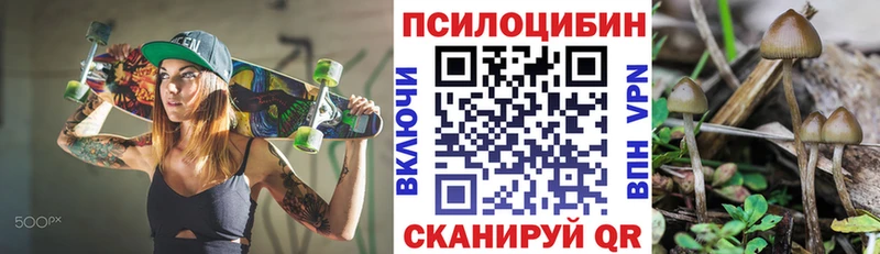 Псилоцибиновые грибы мухоморы  MEGA онион  Боготол  даркнет сайт 